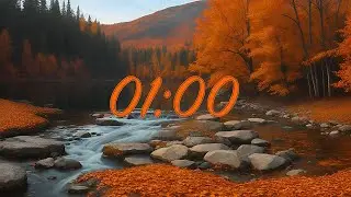 Zen Vibes: 1-Minute Timer with Serene Silence #timer