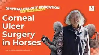 Corneal Ulcer Surgery in Horses: Advanced 2023 Case Review