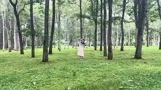 ツアー行こうか迷っている方を遠くから呼び込む動画