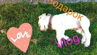 Vlog лучший подарок День рождения Тёти