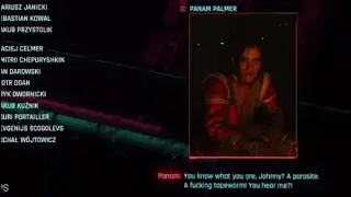 Cyberpunk panam
