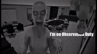 ЧЕРНЫЕ ДЫРЫ И БЕСПАРДОННЫЙ В ВАННОЙ: I'm on Observation Duty