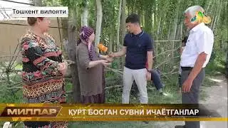 Тошкентда Аҳоли қурт босган сув ичмоқда ДАХШАТ