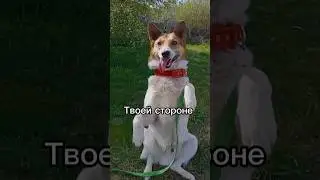 ♥️♥️♥️