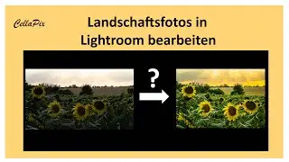 Mein Workflow in Lightroom CC