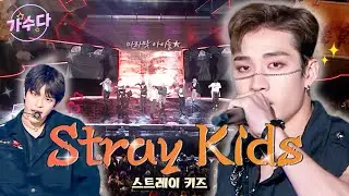 5점 만점에 5점 ★★★★★ #StrayKids 가 돌아왔다🔥 / KBS 방송