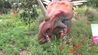 Dinosaurs Botanical garden