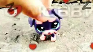wcmv LPS "Твои подружки хотят ко мне в панамеру"💕