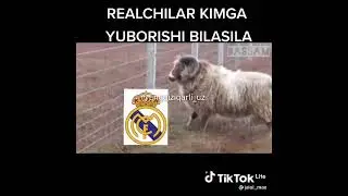 Barcelona😂😂😂  Real Madrid💪