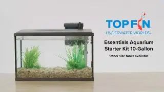 Top Fin 