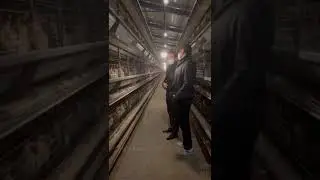 How to Visit Chinese automatic layer equipment factory