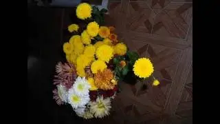 Фильм 0003