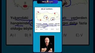 AYT 2024 DERECE SORULARI 