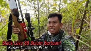 Nyobain berburu Pakai Bocap 88, Asli enak banget Bro‼️🤩