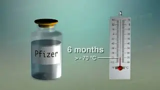 Covid-19, Pfizer vaccine can be kept under -70° C and remain stable for 5 days at 2° C to 8° C