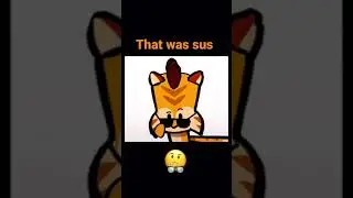 Sus