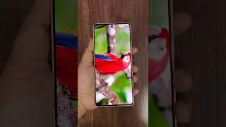Poco X6 Neo 5G Unboxing and Hands On 