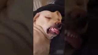 Жена ещё спит