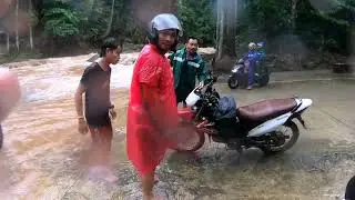 Typhoon Effect