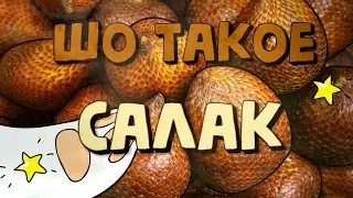 ШО ТАКОЕ САЛАК?