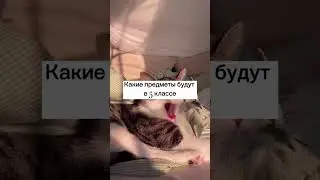 какие предметы будут в 5 классе