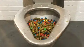 Will Prison Toilet Flush Gallon of Green Beans and M&Ms?