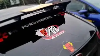 Ford-Mania - Rear Window Graphic - 14"x14"