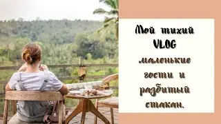 Будни домохозяйки. Мотивация на уборку в кухне.