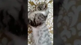 сколько лет вам если прибавить 30? 😅