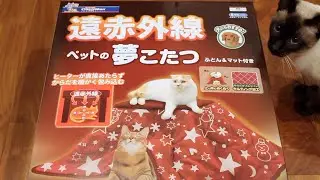 Give a Christmas Present 