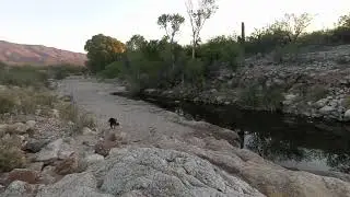 Don't Fence Me In ~ Sonoran Desert Seranades #4
