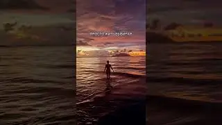 ЧУДЕСА ЖИЗНИ ❤️ Сейшелы