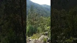 Я не драный кот, но ааааа)))