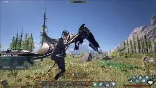 Dark and Light Тамим Нидхога в соло