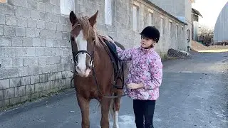 Как проходит конкур тренировка, прыгаю через барьеры без рук