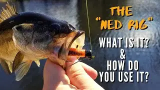 How to Fish the Ned Rig - Finesse Fishing Baits
