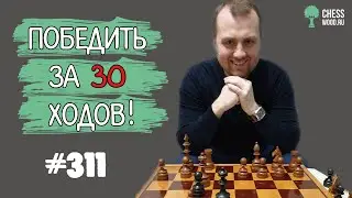 Победить за 30 ходов № 311. Сицилианская защита. Пешка е5
