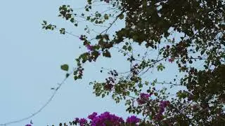 Reconecta: Women’s Day Retreat