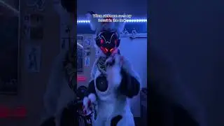 #fur