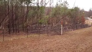 TORNADO EF0 DAMAGE HWY 29 MARION, AL