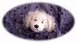 All of Me Webkinz Music Video