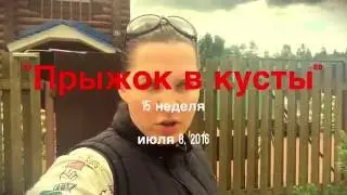 VLOG: Прыгаю в кусты. 15 неделя