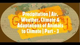 Precipitation | Air, Weather, Climate & Adaptations of Animals to Climate | Part - 3 | Geography
