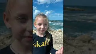 nice day near the sea