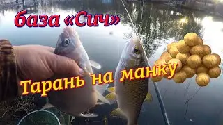 Тарань на удочку база Січ