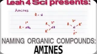 Naming Amines using IUPAC Nomenclature for Organic Compounds by Leah4sci