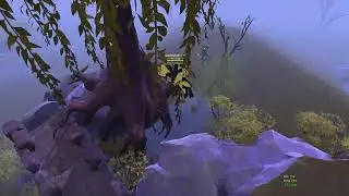 Albion - ML to BW naked on swiftclaw to reset bind
