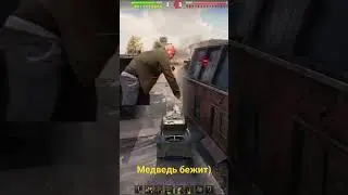 встреча с диким зверем 