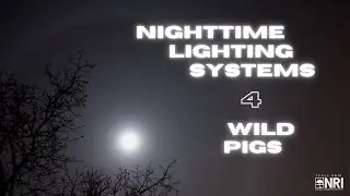 Nighttime Lighting Systems for Wild Pigs