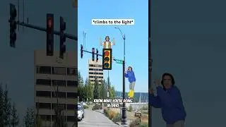 When You Think People Control The Traffic Lights 🤣 